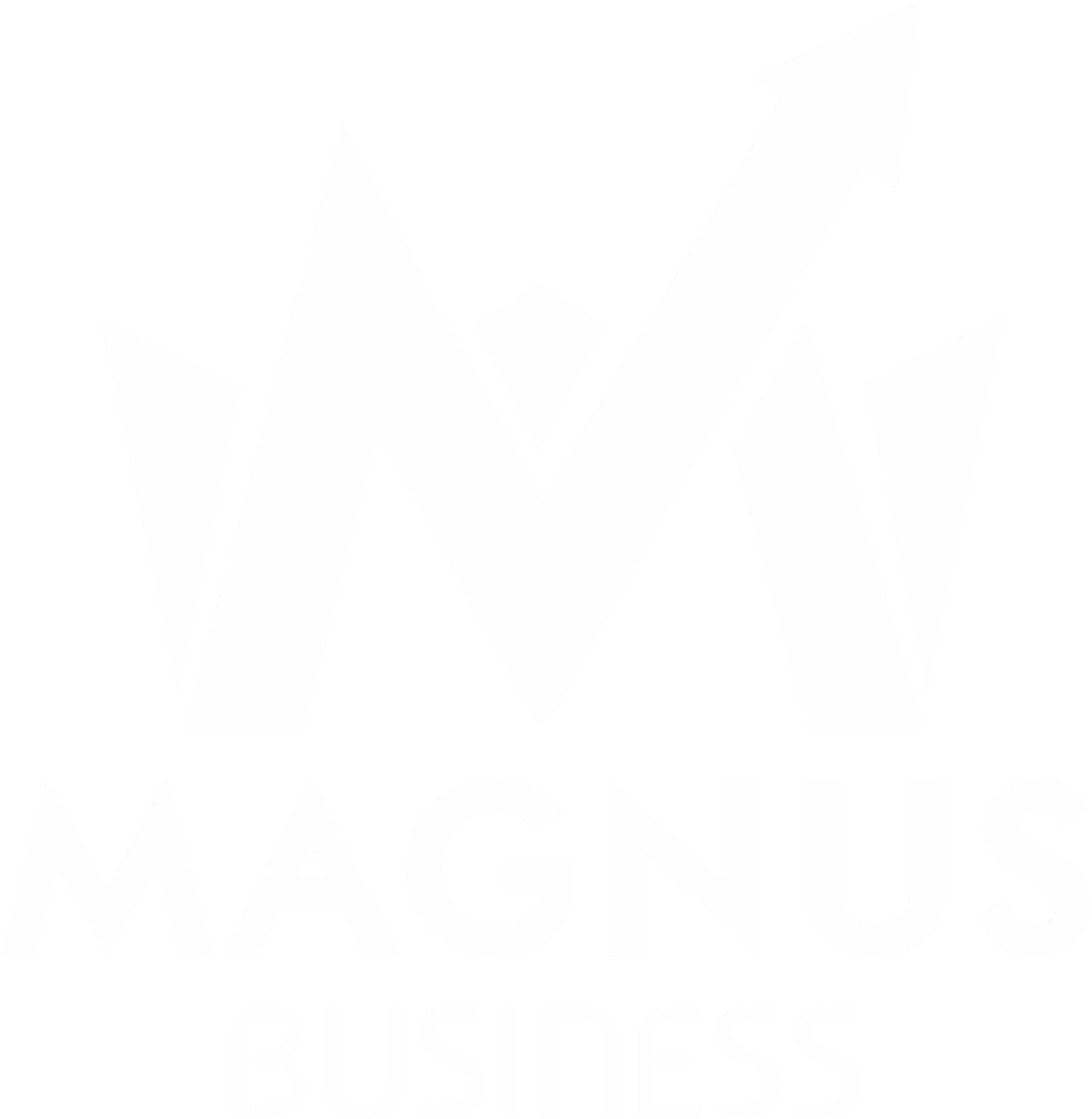 Magnus Business