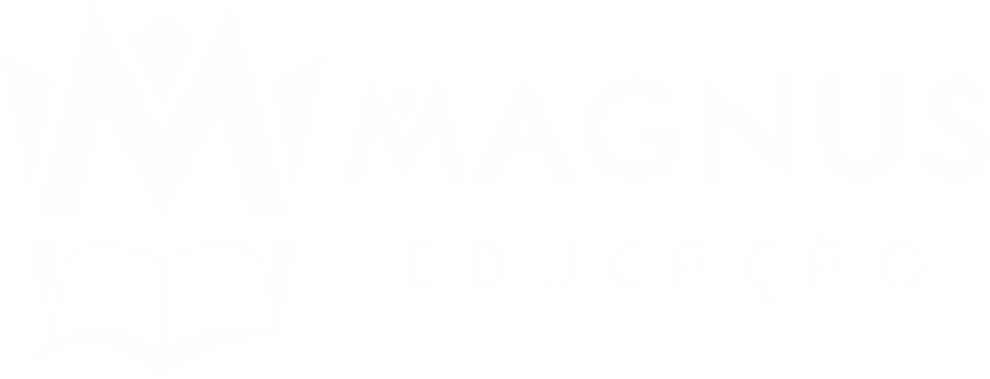 Magnus Educação